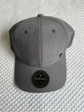 No Bad Ideas Cap Stretch Fit Solid Gray